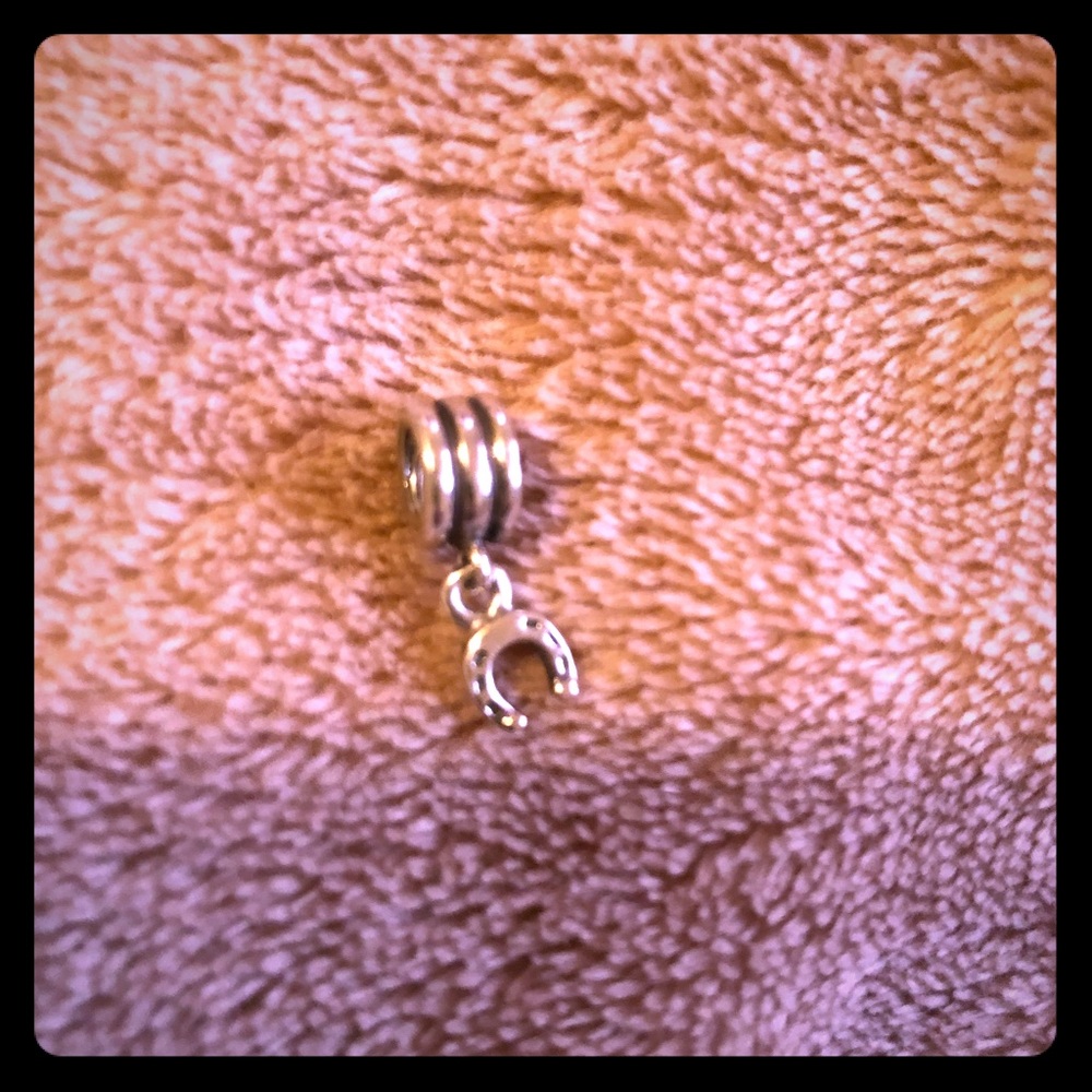 Pandora charm